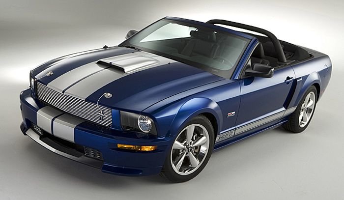 Mustangs Rock