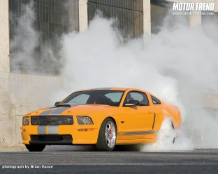 112_0804_06wm+tuner_mustangs+2008_shelby_GT_C.jpg