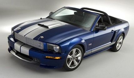 Mustangs Rock