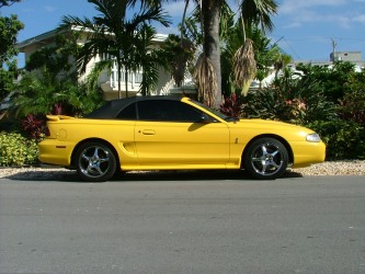 1998 Cobra Convertible
