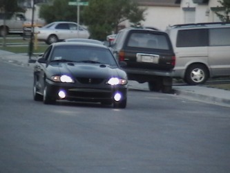 Picture_0061
