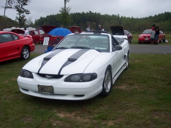 stang18