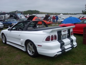stangback1