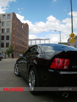 Modified Mustangs