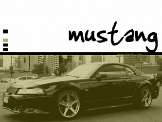 Mustang Wallpaper