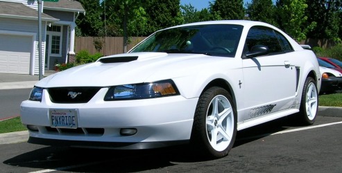 pony_ride_004_crop