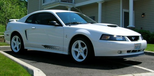 pony_ride_011_crop