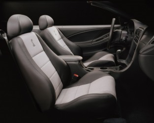 2003 Cobra interior