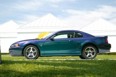 2004 Cobra Mystichrome