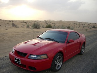 Cobra