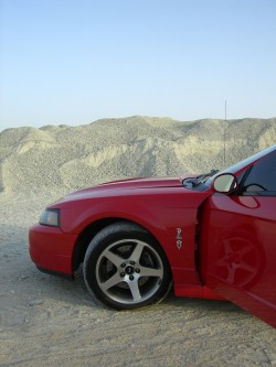 Cobra