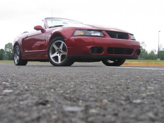 Cobra_10
