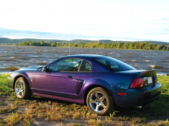 2004 Cobra Mystichrome