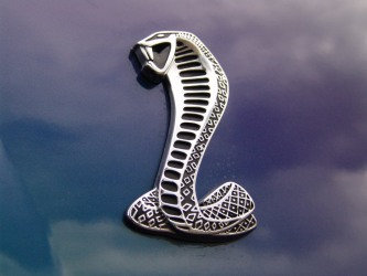 2004 Cobra Mystichrome