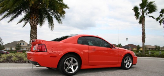 Cobra