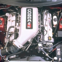 2000 Cobra R