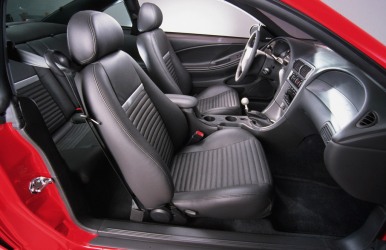 2003 Mach 1 interior
