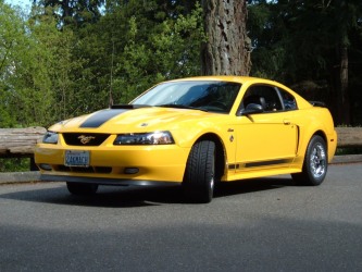 Screaming Yellow Mach 1