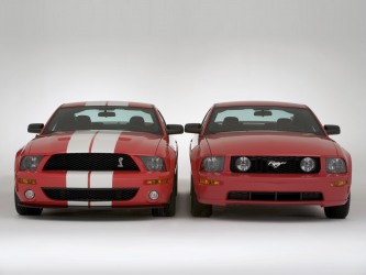 Mustangs Rock