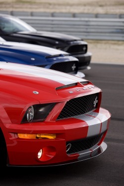 08ShelbyGT500KR_MMS_54_HR.jpg