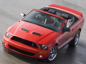 shelby100