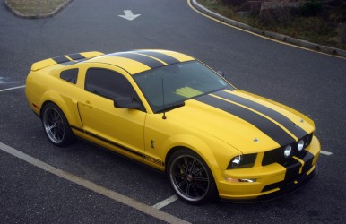 2007 GT500