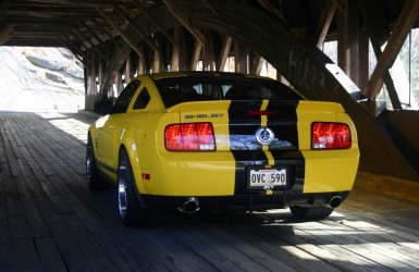 2007 GT500