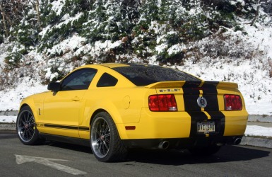 2007 GT500