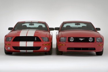 2007 Shelby GT500 & 2005 GT