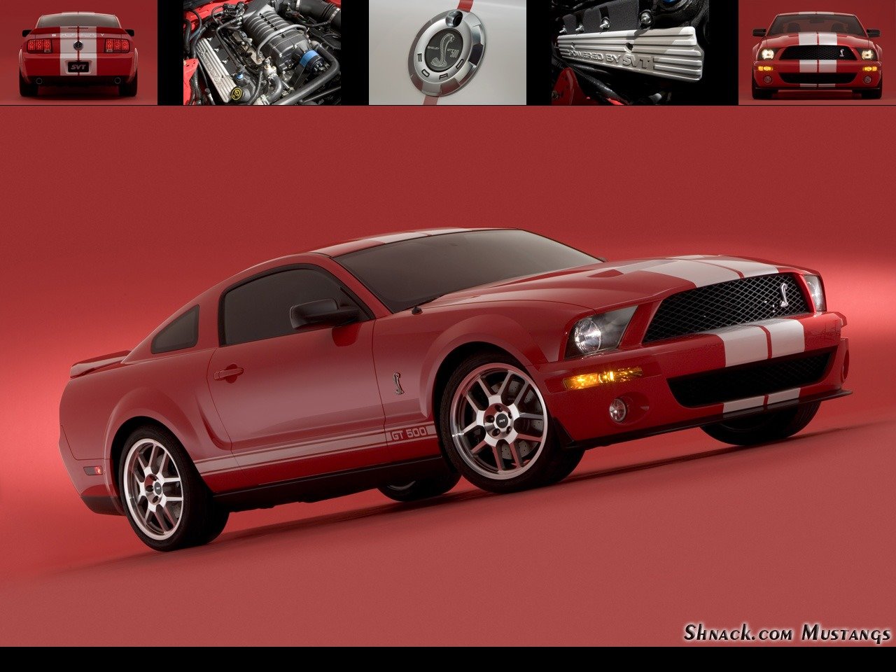 2007 Shelby GT500 Mustang