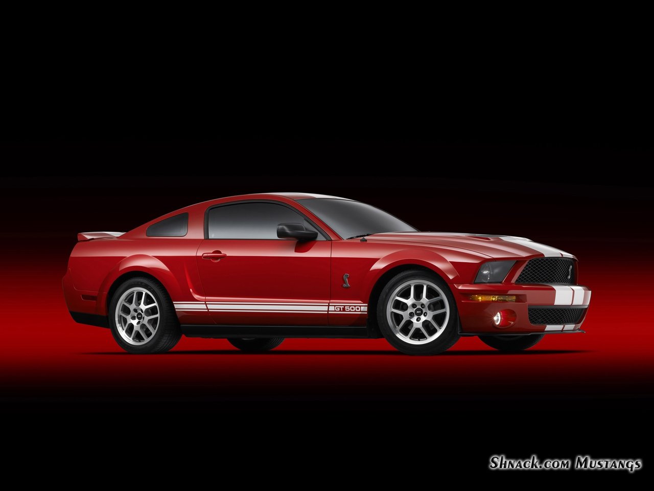 2007 Shelby GT500 Mustang