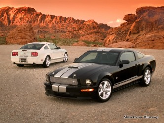 2007 Shelby GT