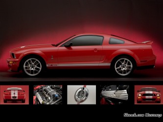 2007 Shelby GT500 Mustang