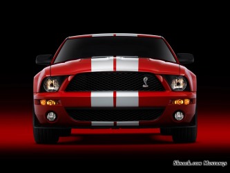 2007 Shelby GT500 Mustang