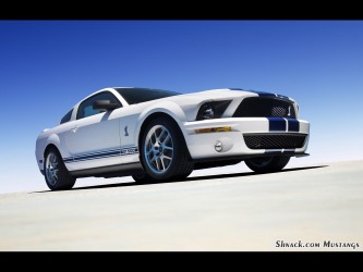 2007 Shelby GT500 Mustang