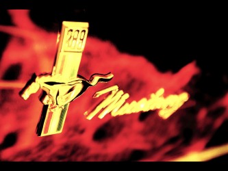 Desktop Wallpaper