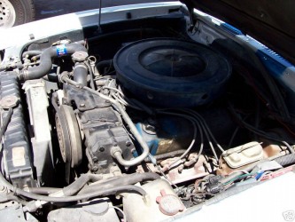 1976 Cobra engine