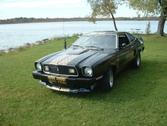 1978 Cobra II