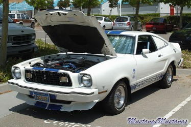 1976 Cobra II