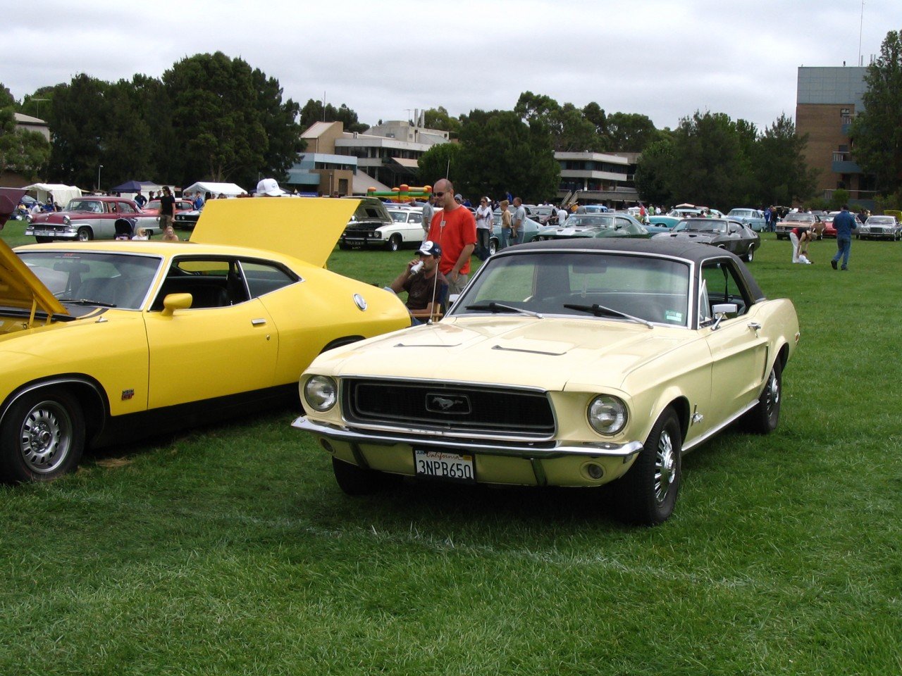 On show at the ;05 Geelong All Ford Day
