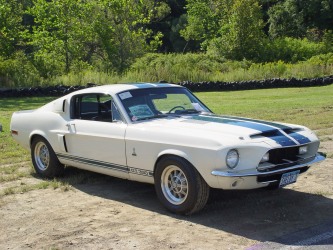 104201968-Shelby-GT-350-White-Blue-fa-lr-1280x960.jpg
