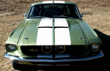 67gt350_2.jpg