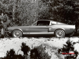 1968 GT500