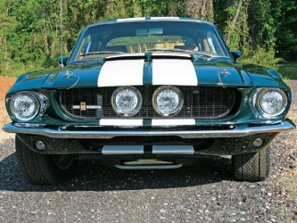 Mustangs Rock
