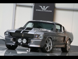 Mustangs Rock