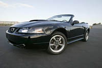 2004 Mustang