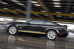 2006 Shelby GT-H Mustang