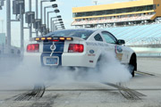 Shelby GT500 Pace Car